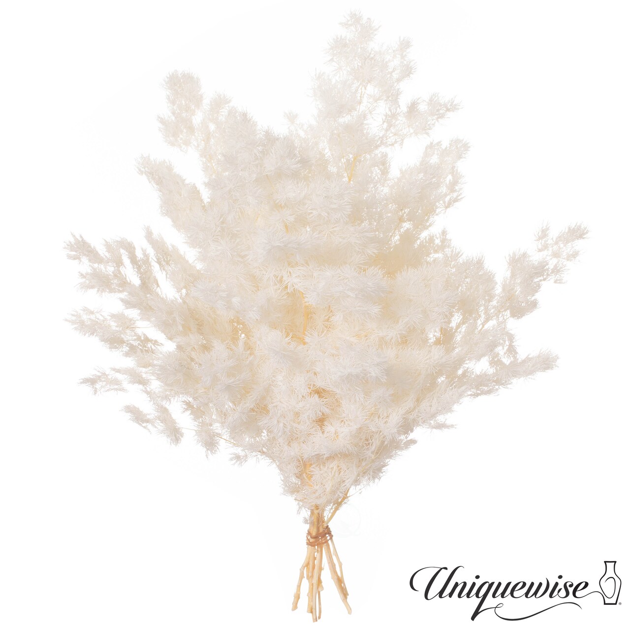 Uniquewise Preserved Real Floral Stems Chic Vase Fillers & Accents for Bouquets Centerpieces & Ornamental Displays Ideal for Home Office Boutique Cafe Resto Bar and Event Decor